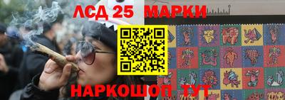 СК Гуково