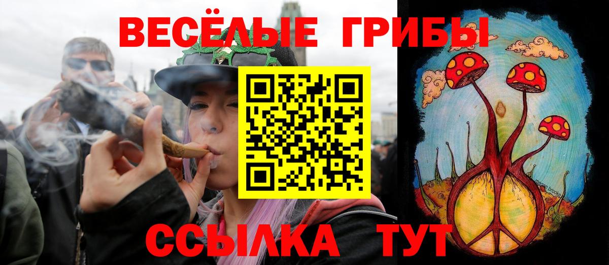 Богородицк  Галлюциногенные грибы MAGIC MUSHROOMS  Вход с VPN 